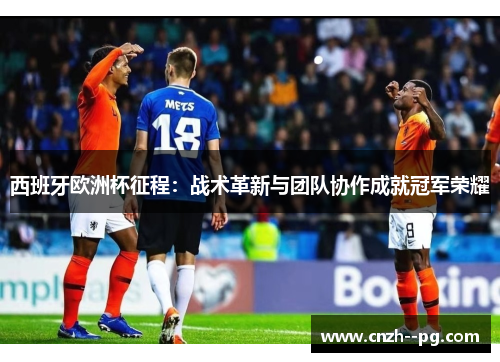 西班牙欧洲杯征程：战术革新与团队协作成就冠军荣耀