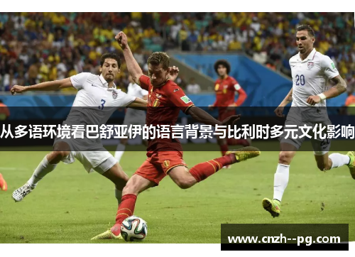 从多语环境看巴舒亚伊的语言背景与比利时多元文化影响 从多语环境看巴舒亚伊的语言背景与比利时多元文化影响