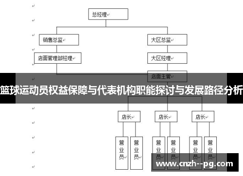 篮球运动员权益保障与代表机构职能探讨与发展路径分析